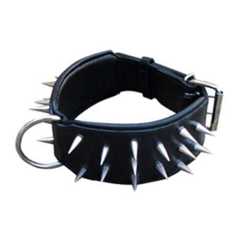  Dog Collars